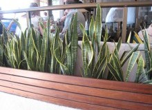 Kwikfynd Plants
stockrington