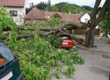 Kwikfynd Tree Cutting Services
stockrington