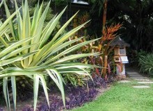 Kwikfynd Tropical Landscaping
stockrington