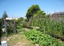 Kwikfynd Vegetable Gardens
stockrington